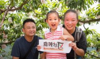 中国水蜜桃之乡