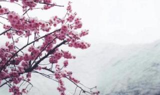 九寨沟连续三天下雪