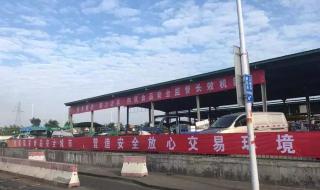 我看见天空很蓝 我看见天空很蓝