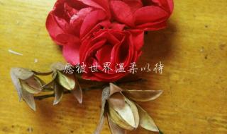 世界对我温柔以待 世界对我温柔以待