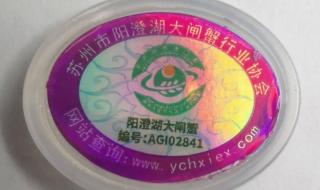 正宗阳澄湖大闸蟹