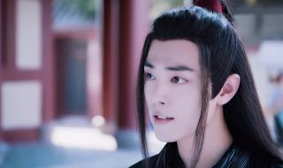 魏婴哭着蓝湛停下来 魏婴哭着蓝湛停下来