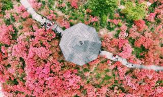 我于人间全无敌 我于人间全无敌