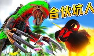 游小浪game 游小浪game