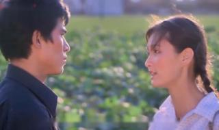 杨钰莹歌曲 杨钰莹歌曲