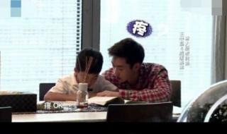 林依轮的个人资料简介 林依轮的个人资料简介