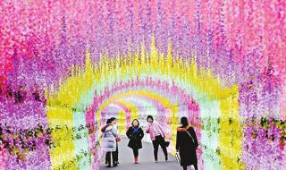 音乐百花谷 音乐百花谷