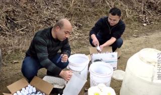 打药无人机多少钱一台 打药无人机多少钱一台