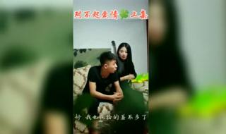 五道口段宏楠背景