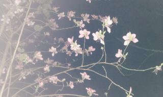 回南天什么时候结束 回南天什么时候结束