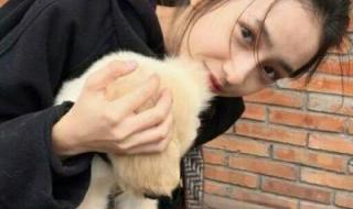 我累了我痛了 我累了我痛了