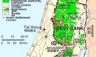 巴勒斯坦巴基斯坦 巴勒斯坦巴基斯坦