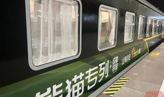 三年级作文熊猫300字 三年级作文熊猫300字