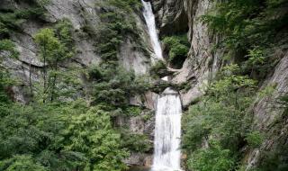 太平国家森林公园 太平国家森林公园