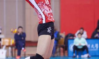 女排张常宁任职公示 女排张常宁任职公示